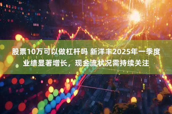 股票10万可以做杠杆吗 新洋丰2025年一季度业绩显著增长，现金流状况需持续关注